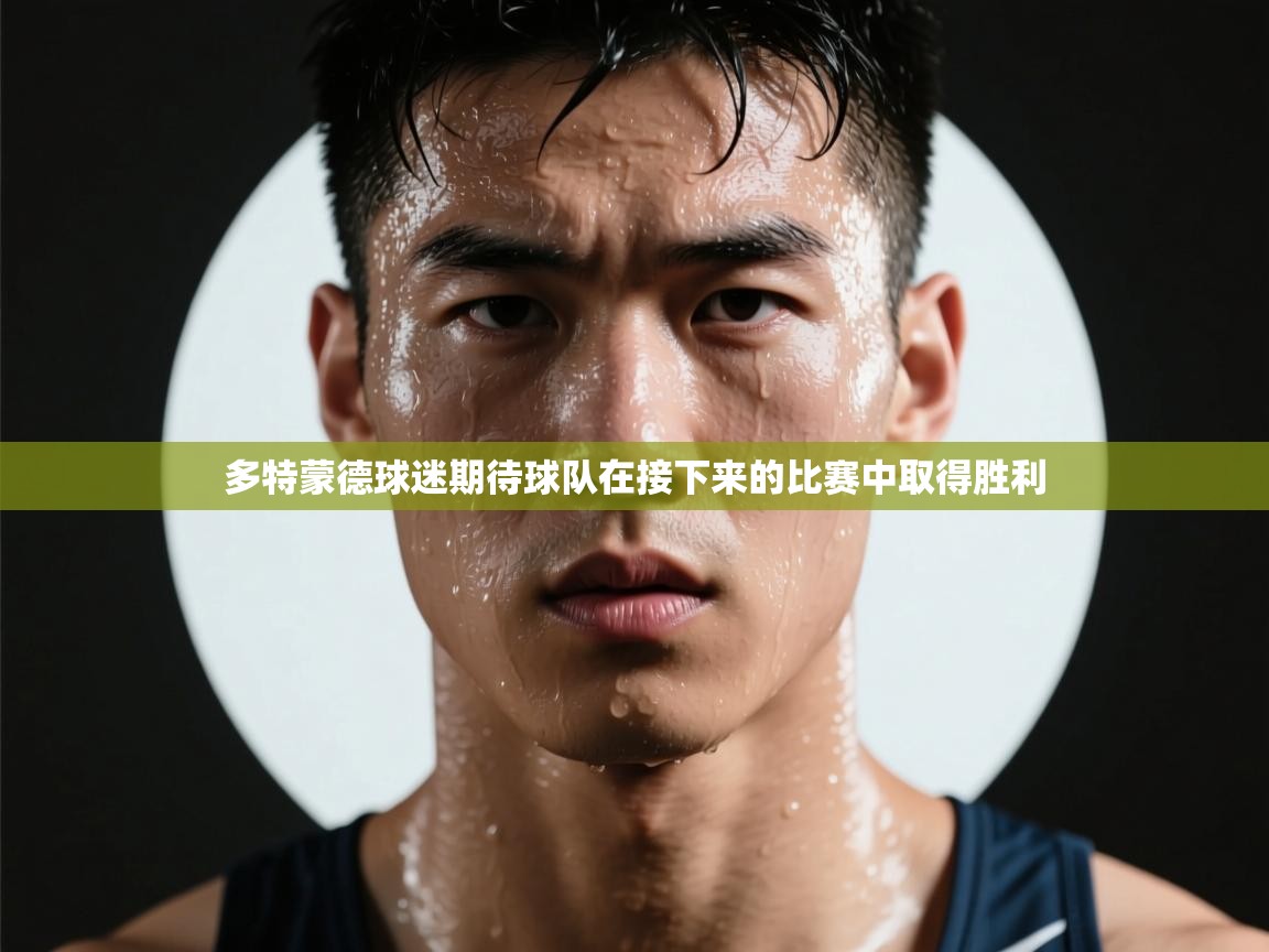 多特蒙德球迷期待球队在接下来的比赛中取得胜利